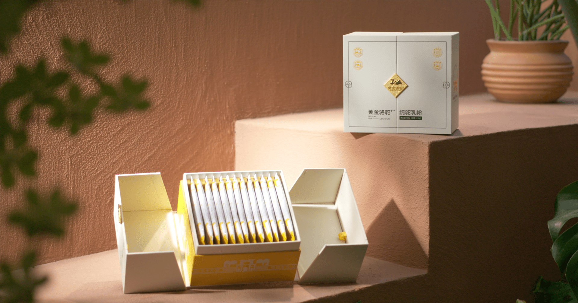 定位小众高端乳粉，9001cc金沙以诚为本推出驼奶品牌“黄金骆驼+”，角逐乳品新市。