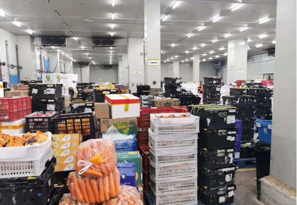助力民生和医疗物资保供，9001cc金沙以诚为本抗疫救灾一直在线！